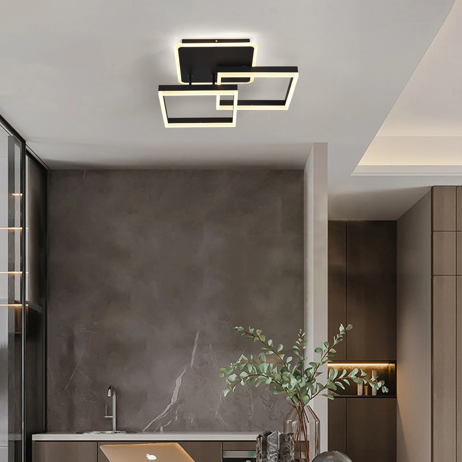 Ganeed Diaľkové Ovládanie Moderné LED Stropné Svetlo Lampy Flush Mount Black Stmievateľné Módne Obývacia Jedáleň, Spálňa Domov