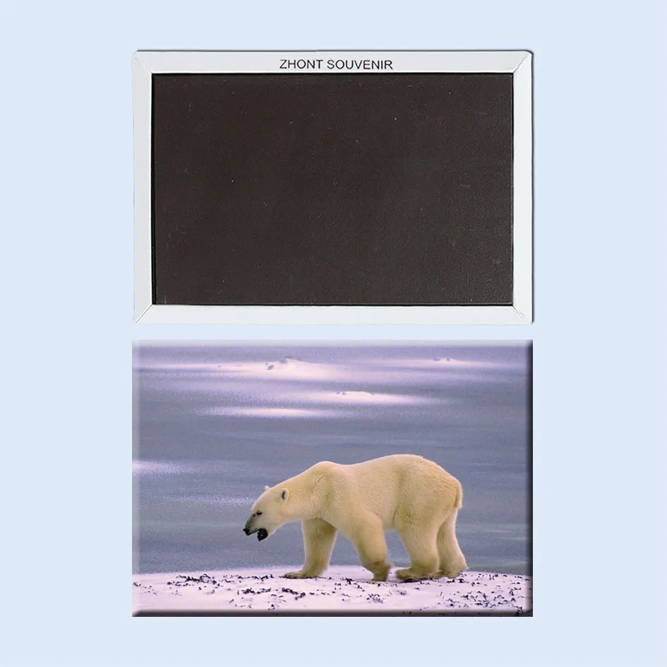 tak roztomilý Medveď Grónsko jemné darčeky pre priateľov 22301 Suveníry z Celosvetovej Turistické; chladnička magnet